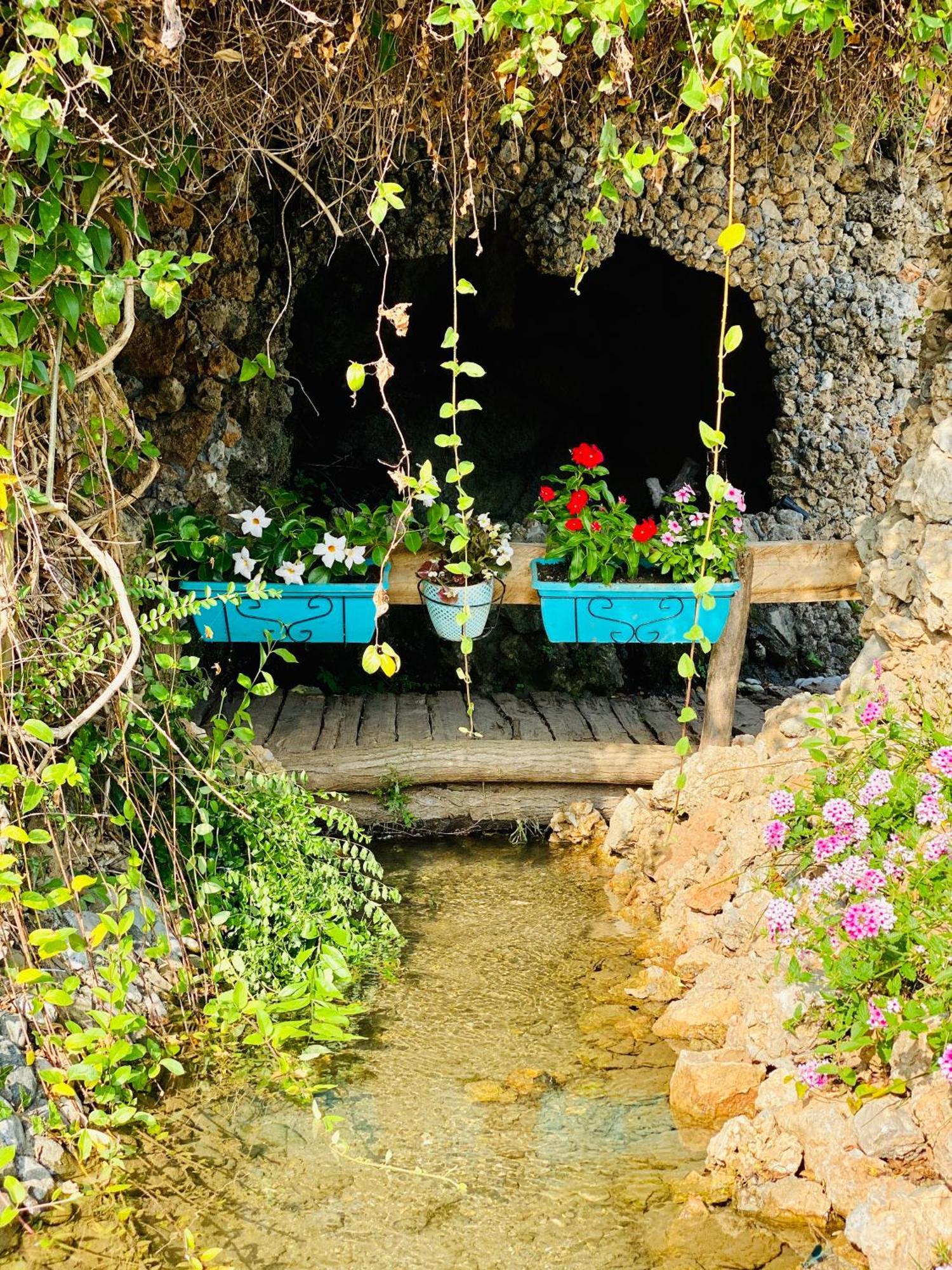 Mjede Kompleksi Turistik Dea מראה חיצוני תמונה